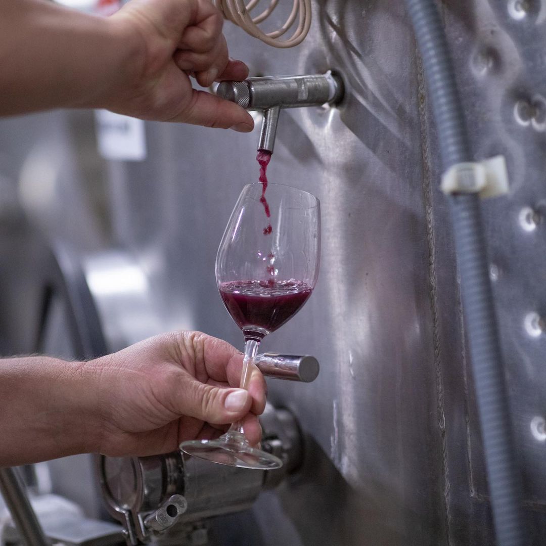 FourPointsNapa's tweet image. Behind the scenes in our winery, a captivating journey awaits. Our winemakers pour their hearts and soul into every step, ensuring that each glass of Four Points is a testament to our dedication. ​  

#FourPointsNapaValley #BeTheFirst #AlphaDeltaPi #ADPiAlumnae #ADPi
