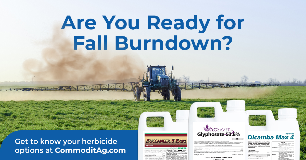 Implementing a burndown program this fall will improve weed control and overall yields in 2023. Preserve soil moisture and nutrients for next year’s crop by limiting the size and number of germinating weeds now. 

loom.ly/zq6Ny4Q