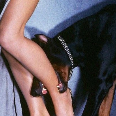 ₍잰 ₎⟆.☘︎ ݁˖ tweet media