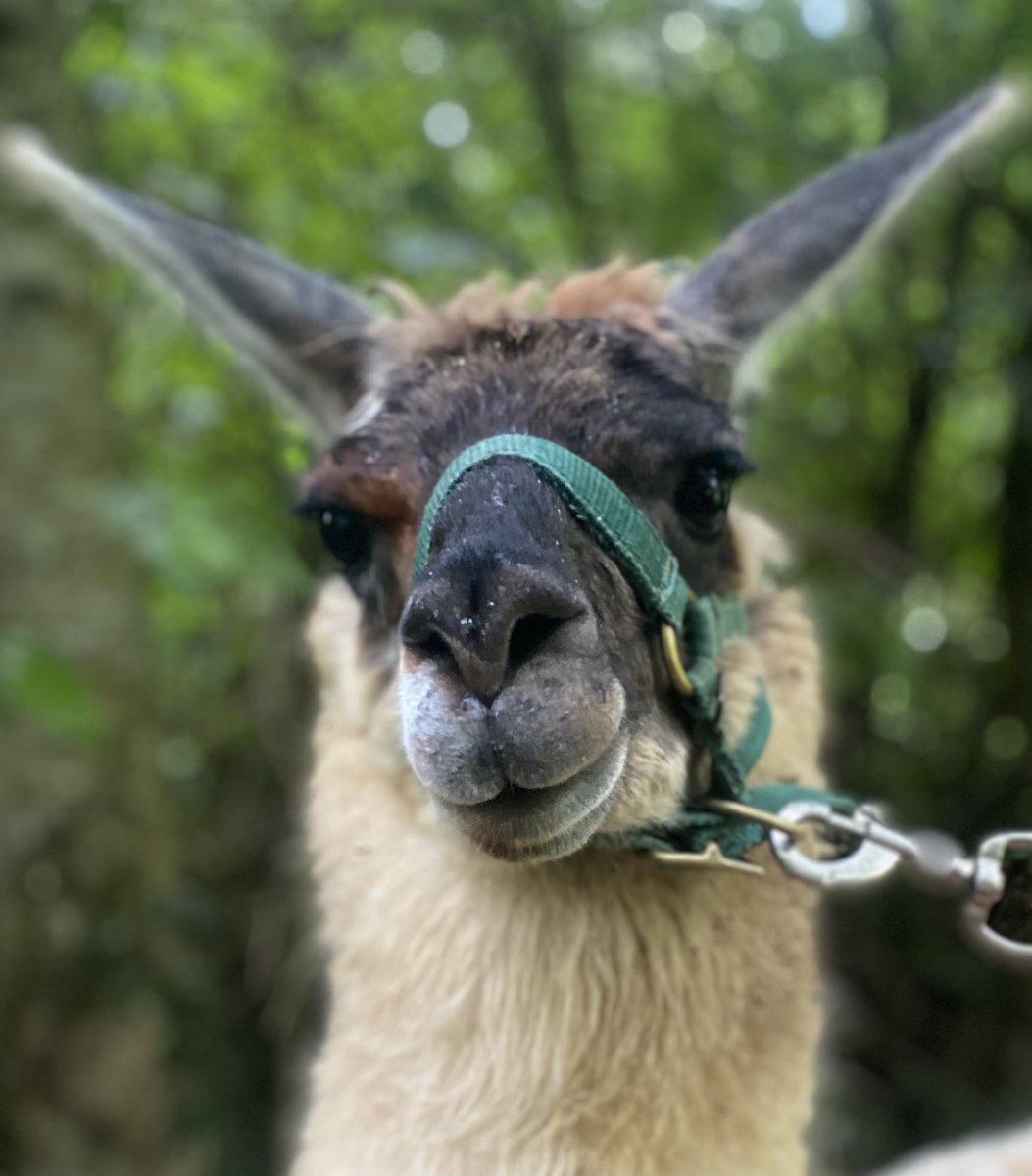 Must get back in the swing of tweeting again… I’m slacking!