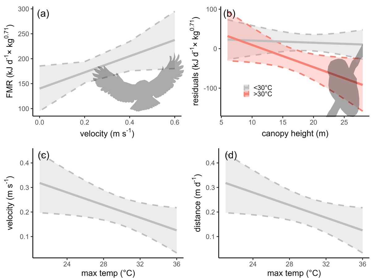 Check out our paper! We investigate the role of thermal refuges on mediating the effects of extreme heat on mature forest individuals and populations. 🦉🌡️🌲 link.springer.com/article/10.100…