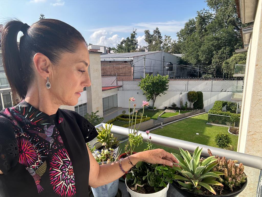 Claudia Sheinbaum Pardo tweet media