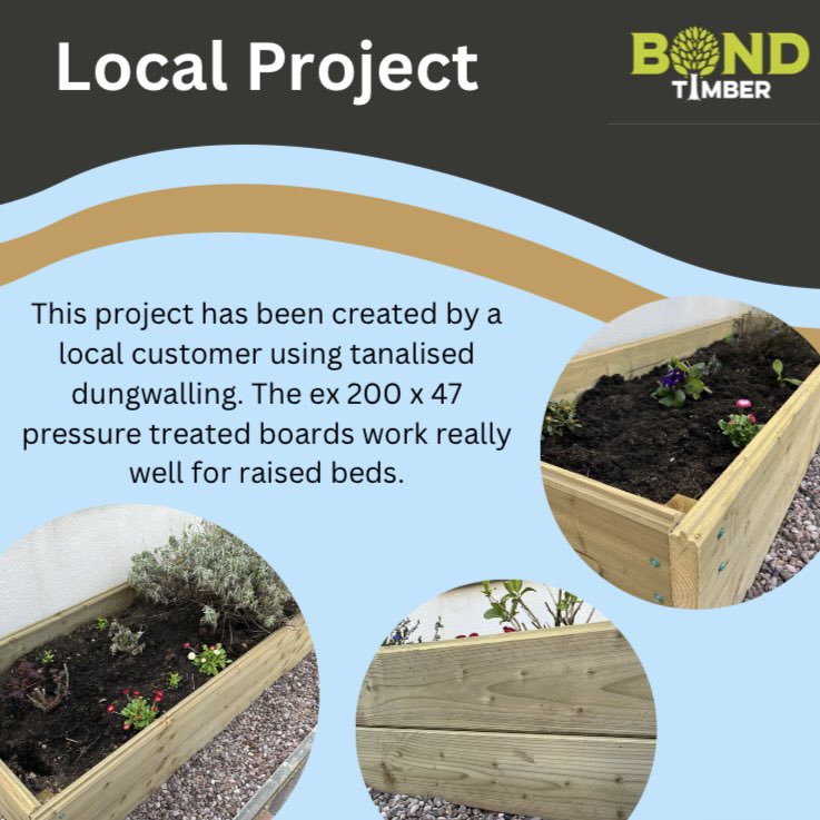 BondTimber's tweet image. Part 3 of our summer DIY series is here☀️ visit the link to view the document with interactive links whbond.co.uk/wp-content/upl…

#summerdiy #diyprojects #timberprojects #summerdiyproject #raisedbeds #flowerbeds