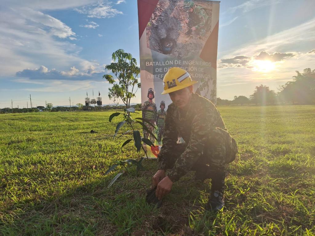 Ingenieros_EJC's tweet photo. El Batallón de Ingenieros de Disposición de Artefactos Explosivos llevo a cabo la siembra de 50 árboles con el fin de promover la preservación del medio ambiente y los recursos naturales.

#CustodiosDelMedioAmbiente https://t.co/vCP8ki7Nsd