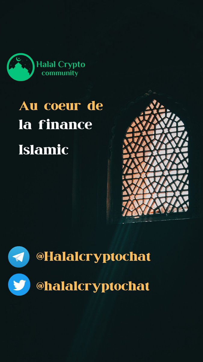 PAdjitche's tweet image. #hcc #halalcrypto #ISLM  #HAQQ  #HAQQWallet