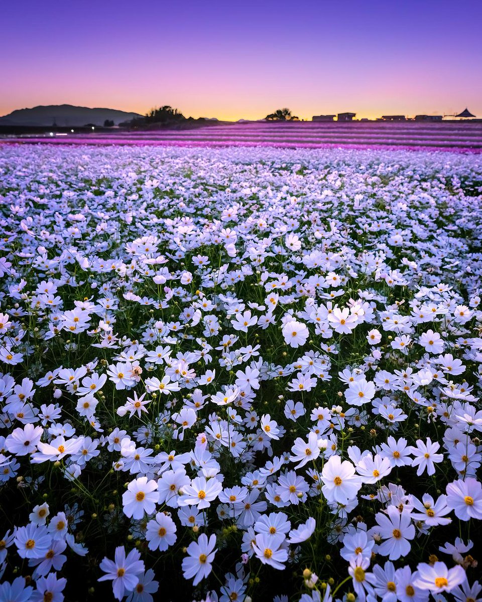 Good evening 💜