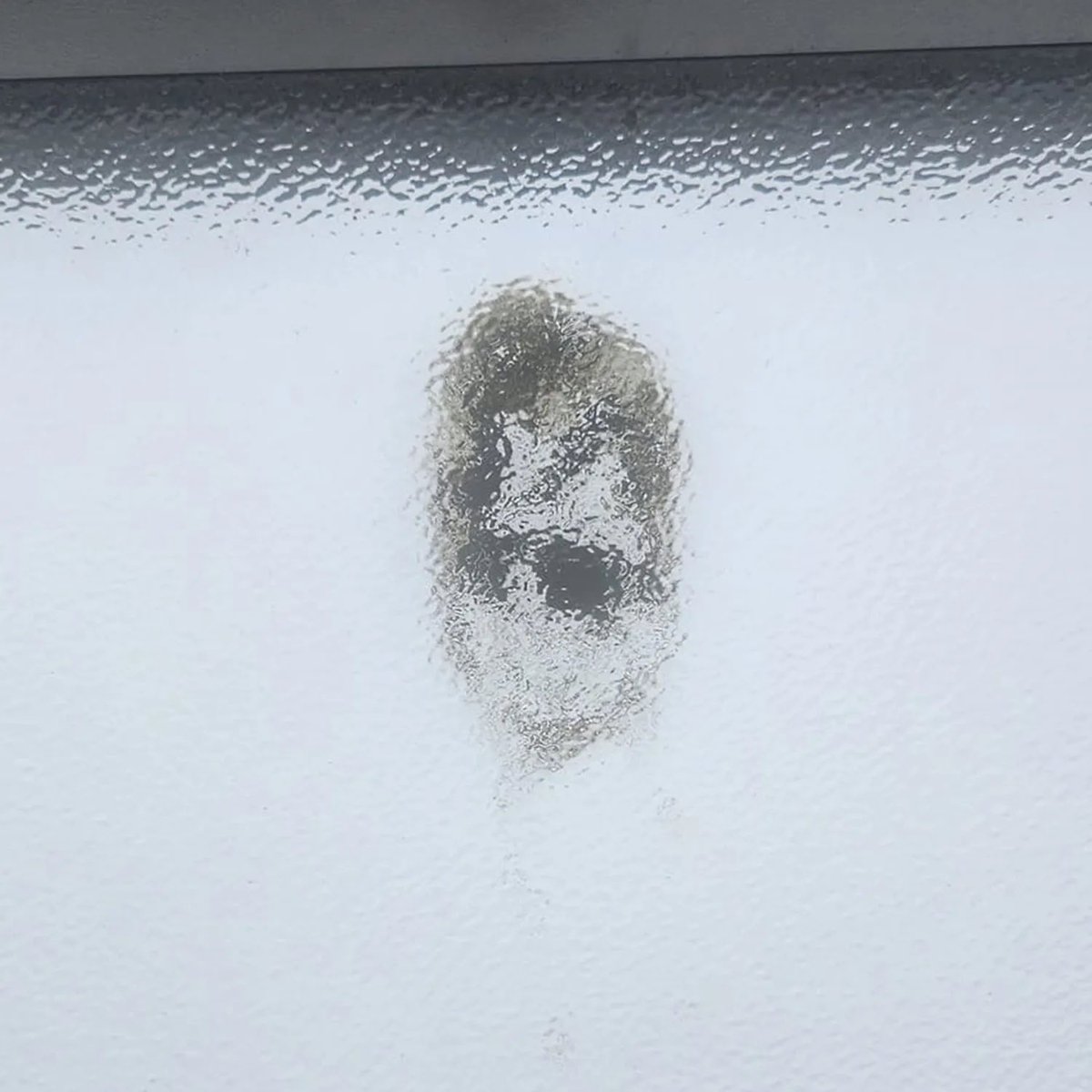 Holy crap! Woman shocked to see celebrity likeness in bird dropping on her window… but can you work out who it is?