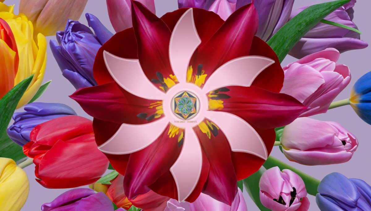 VivianeSambeat's tweet image. Retrouvez les #fonctions #Invocation #exhortation des #Princes des #Séphira #Séraphins #Chérubins #Trônes #Dominations #Puissances #Vertus #Principautés #Archanges #Anges #AstrologieKabbalistique #Astrologie #ThèmeNatal #DéveloppementPersonnel #Firefly #alpacaml #Illustrator…