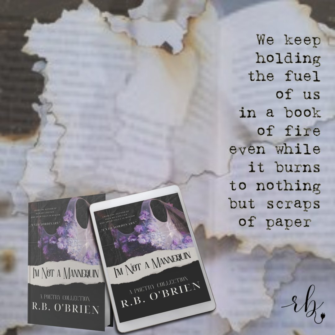 Nicole's Book Musings tweet media