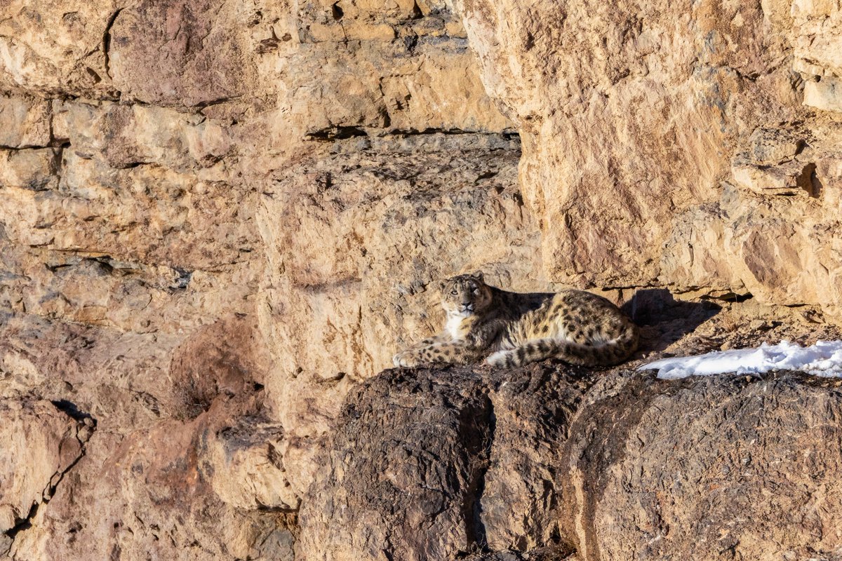 Ismail Shariff tweet media