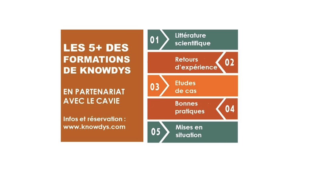 LES 5+ DES FORMATIONS DE KNOWDYS 

Plus d’informations sur #knowdys.com
#Knowdys #IntelligenceEconomique #EtudedeMarché #MarchésAfricains #BusinessIntelligence