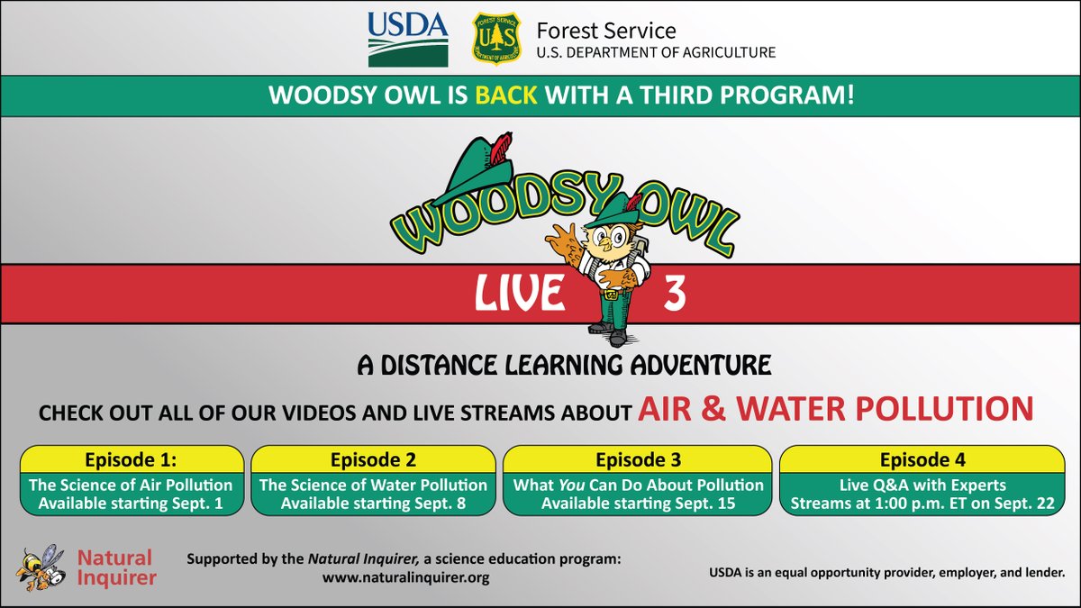 Woodsy Owl (@woodsyowl) on Twitter photo 