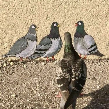 Uncle Duke tweet media