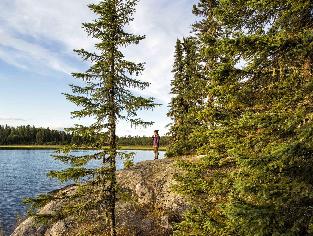 Ontario Parks NE tweet media