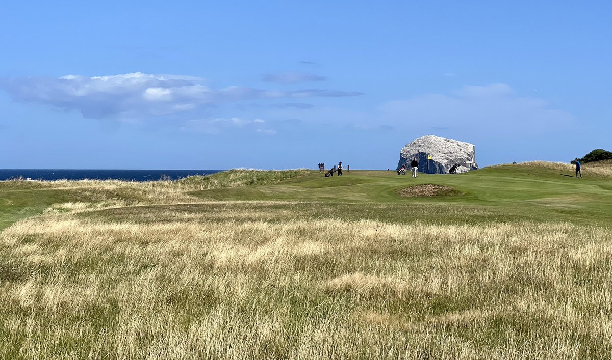 Kevin Markham tweet media