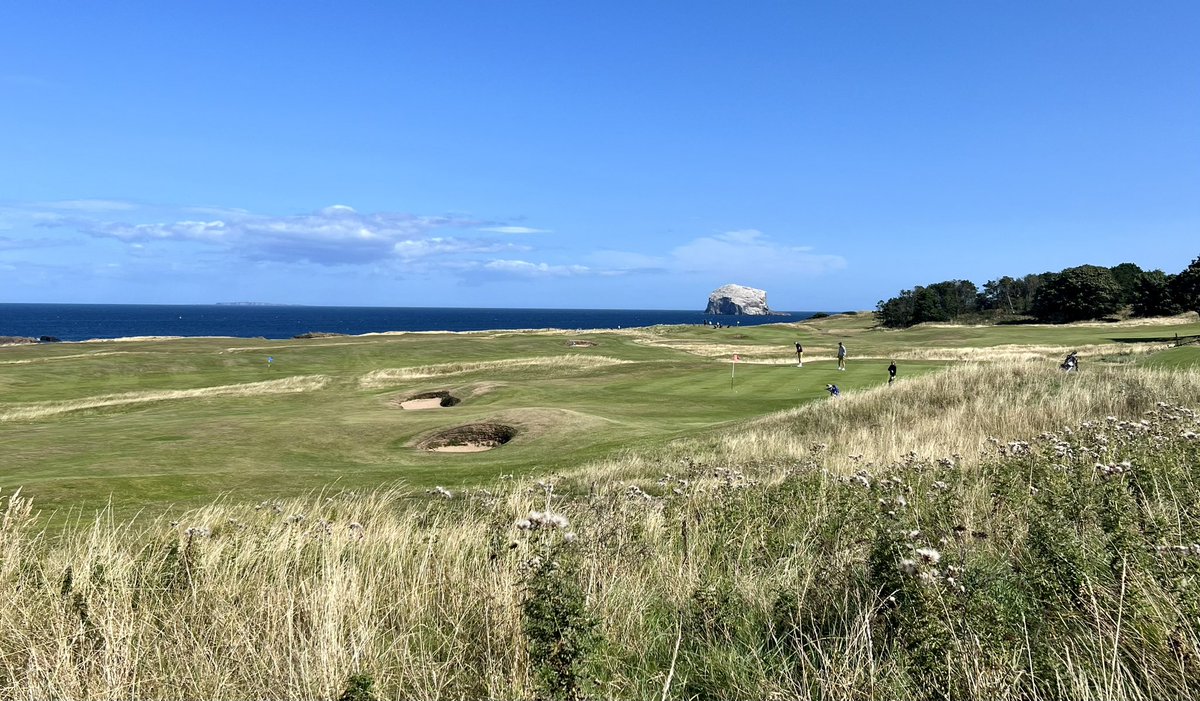 Kevin Markham tweet media