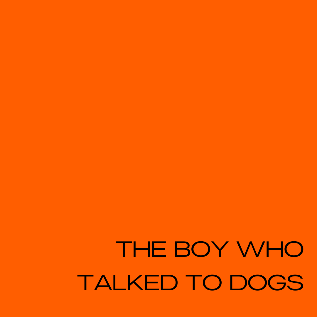 DubTheatreFest's tweet photo. The Boy Who Talked to Dogs, adapted by Amy Conroy from the book by Martin McKenna, is a magical &amp; mischievous tale of transformation, redemption &amp; what happens when the underdog finds his pack.

📆5-7 Oct
📍@Draiocht_Blanch 
🎟️€7 Adults/€5 Children
👀 https://t.co/ClmYUmHlcr https://t.co/ZhflNl5pOw