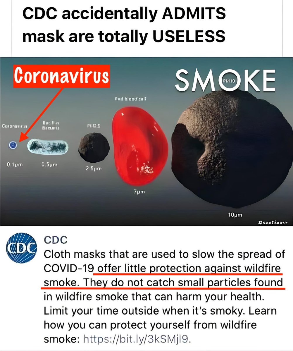 MinghHam's tweet image. #ClothMask #CDC