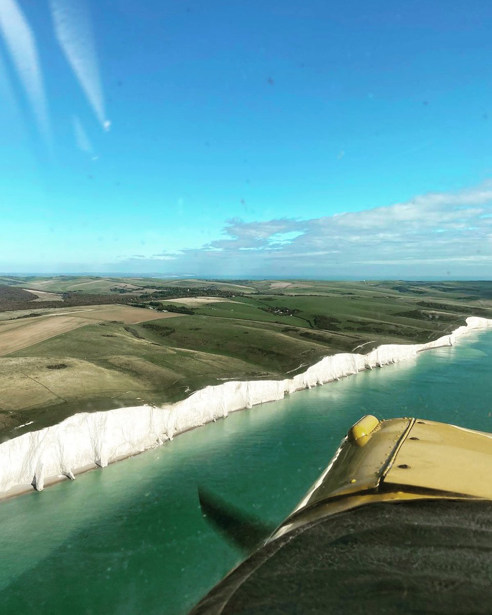 The Tiger Club tweet media