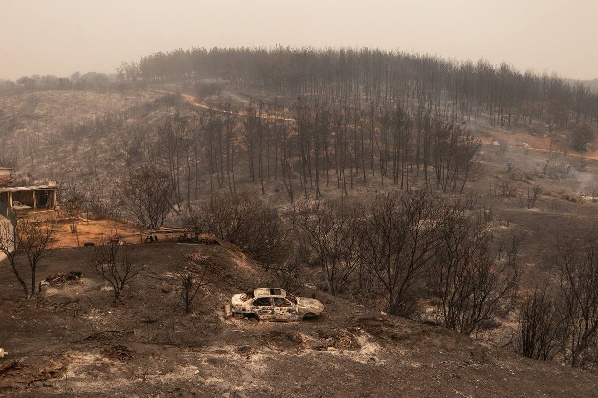 #BREAKING #Greece #Greecewildfires The gigantic fire that ravages a national park of the European Natura, near Alexandroupoli in the north-east of Greece, remains 'out of control', announce the firefighters. 77,000 hectares of land have burned, 20 people died.