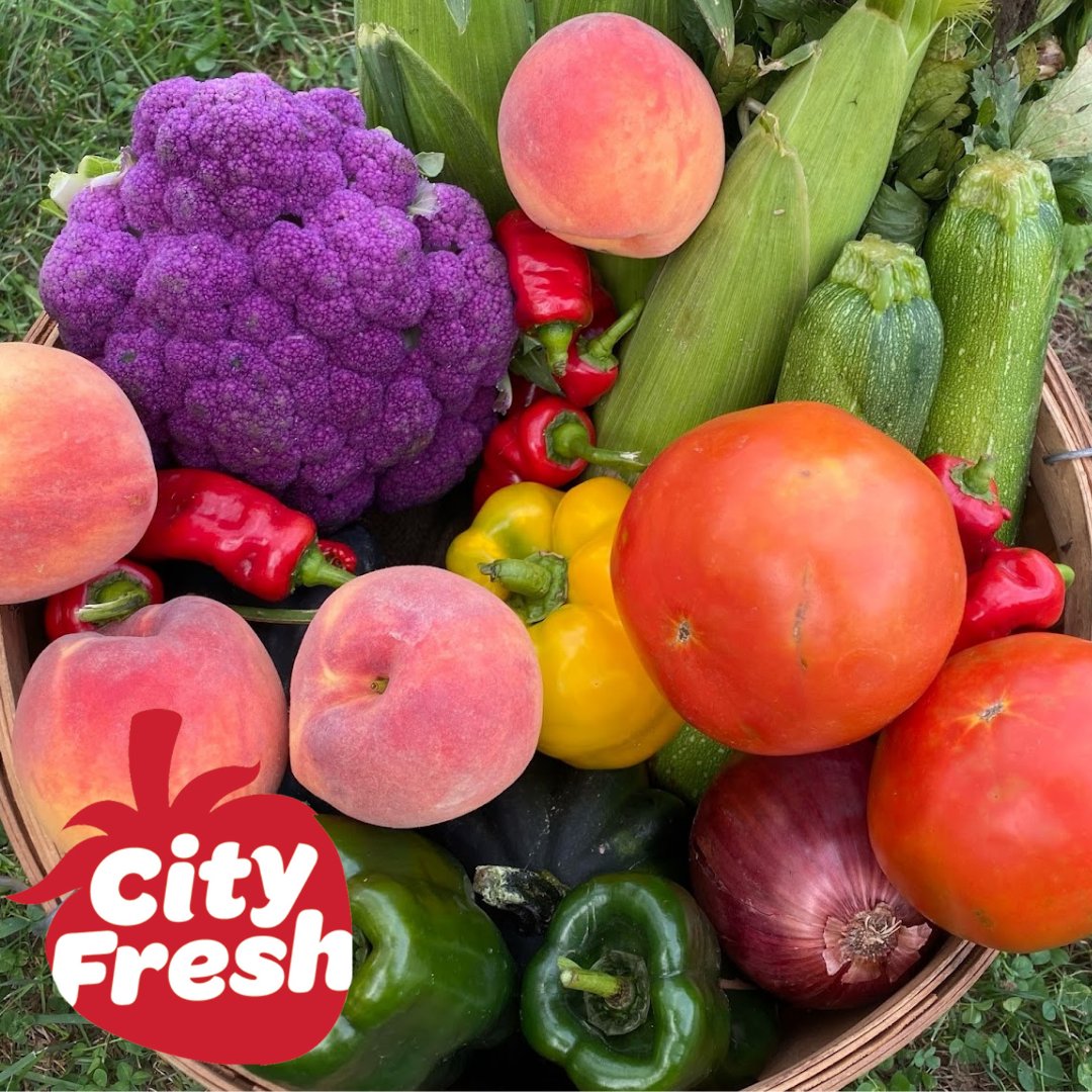 Rust Belt Riders tweet media