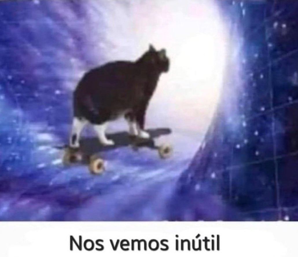 mí gato después de q le doy de comer: