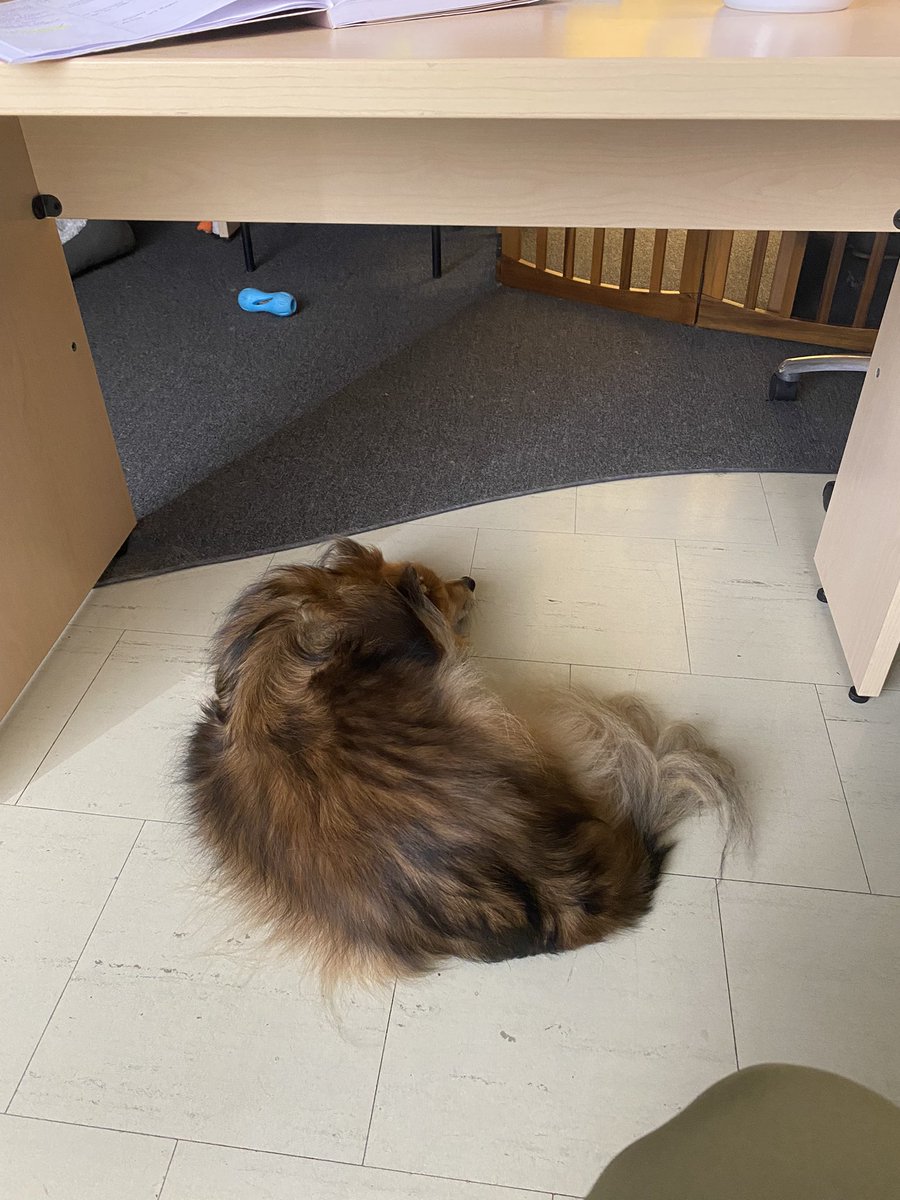 Samantha Hancock, PhD tweet media