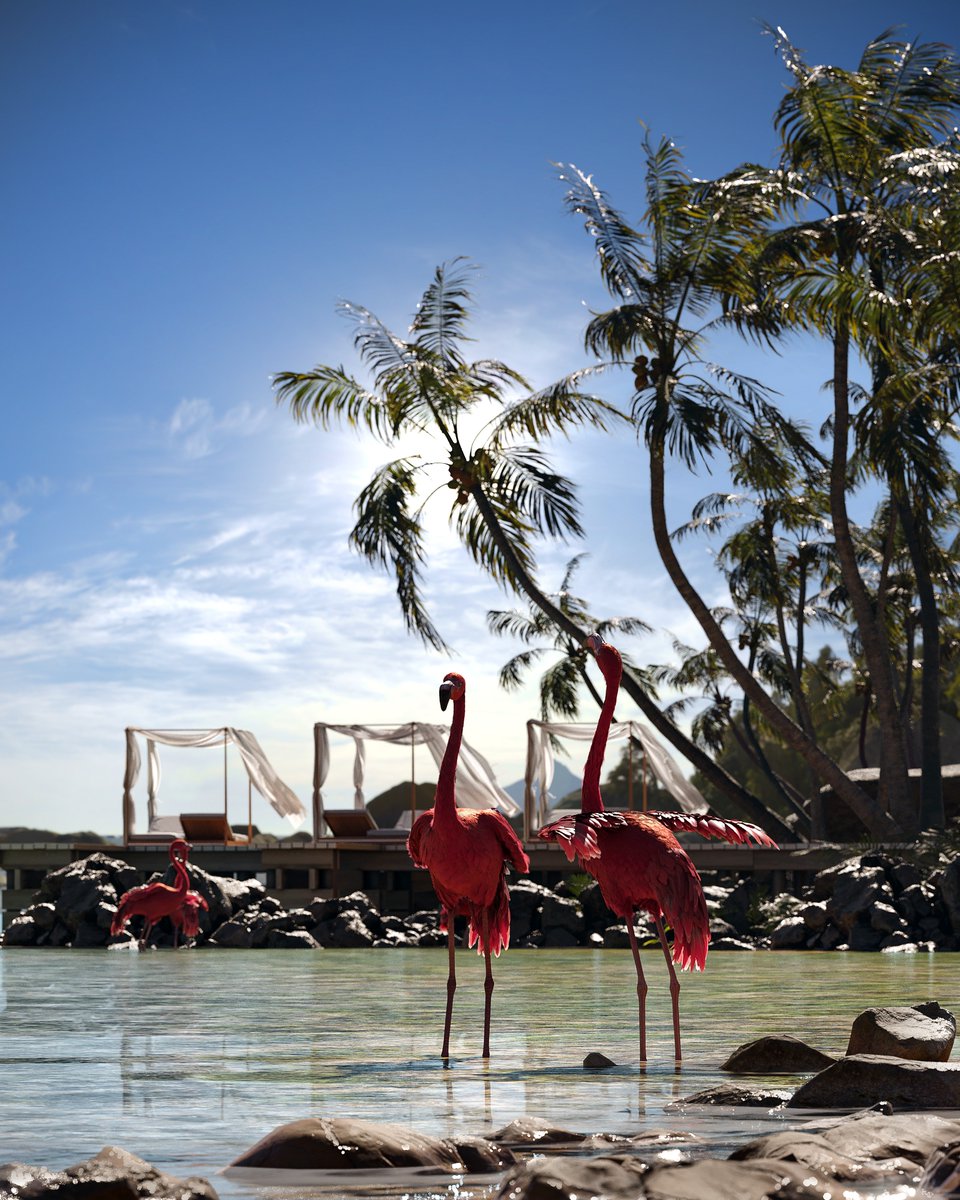 CoronaRenderer's tweet photo. 3D Artist Matheus Almeida is serving up tropical island vibes with this sunny scene from his aptly named 'Flamingo Resort' project. See more: https://t.co/jTmHYOqsCE https://t.co/iFBmixJtd4