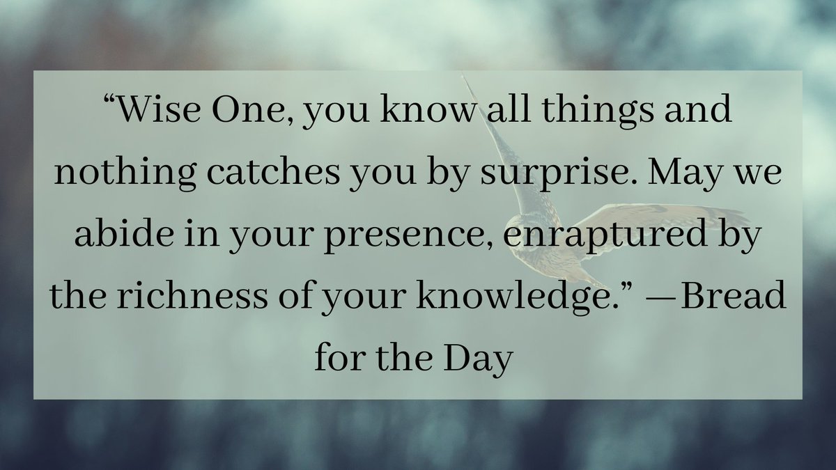 “Wise One, you know all things and nothing catches you by surprise. May we abide in your presence, enraptured by the richness of your knowledge.” —Bread for the Day