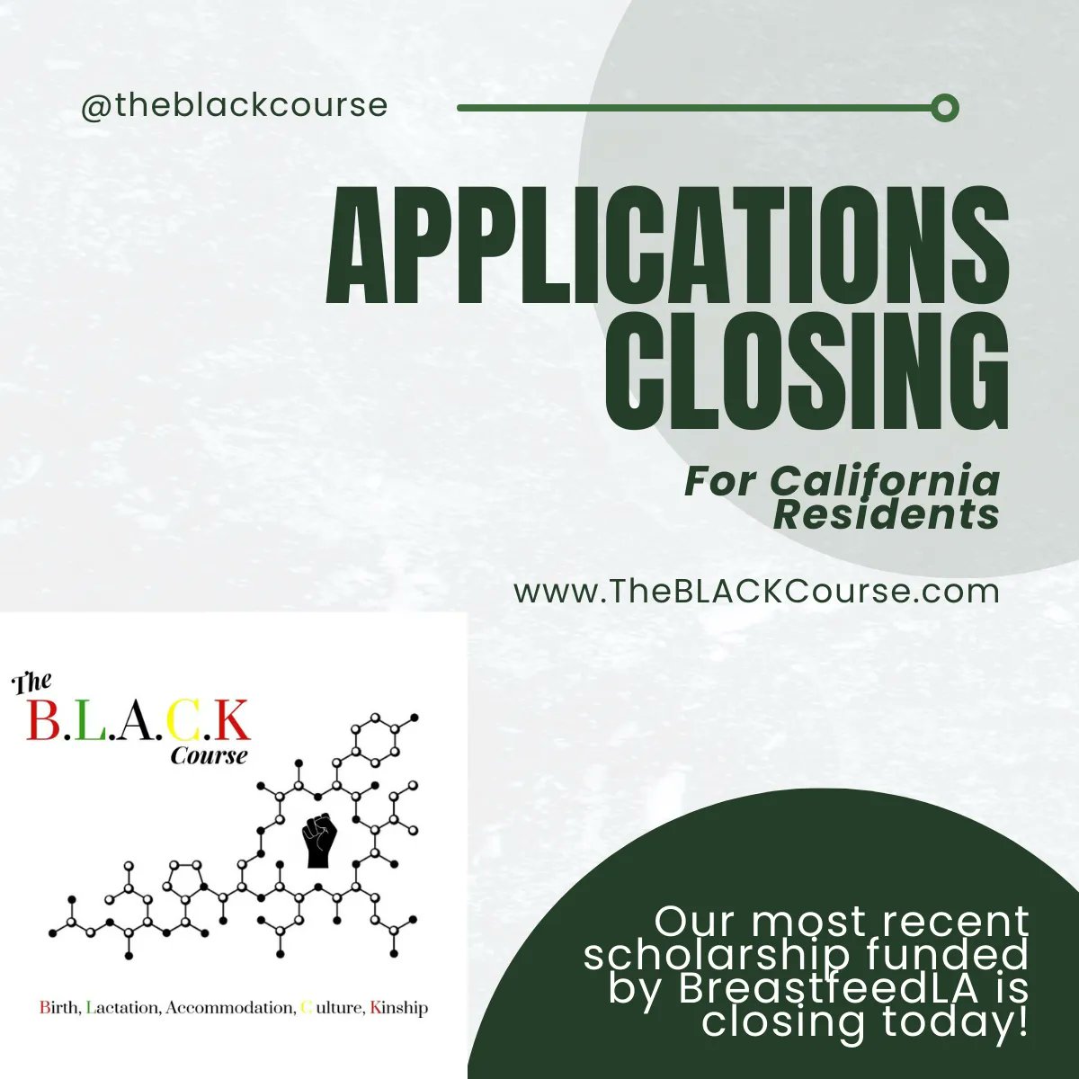 TheBLACKCourse's tweet photo. Our scholarship sponsored by @breastfeedla through funding by @ccswg for our October 2023 Cohort is closing today. Get your application in by 11:30 PM PST. This scholarship opportunity is for California residents. https://t.co/oO7QBqMOUh

#theblackcourse #therevolutionwillbelatch https://t.co/cqCTk2HVML