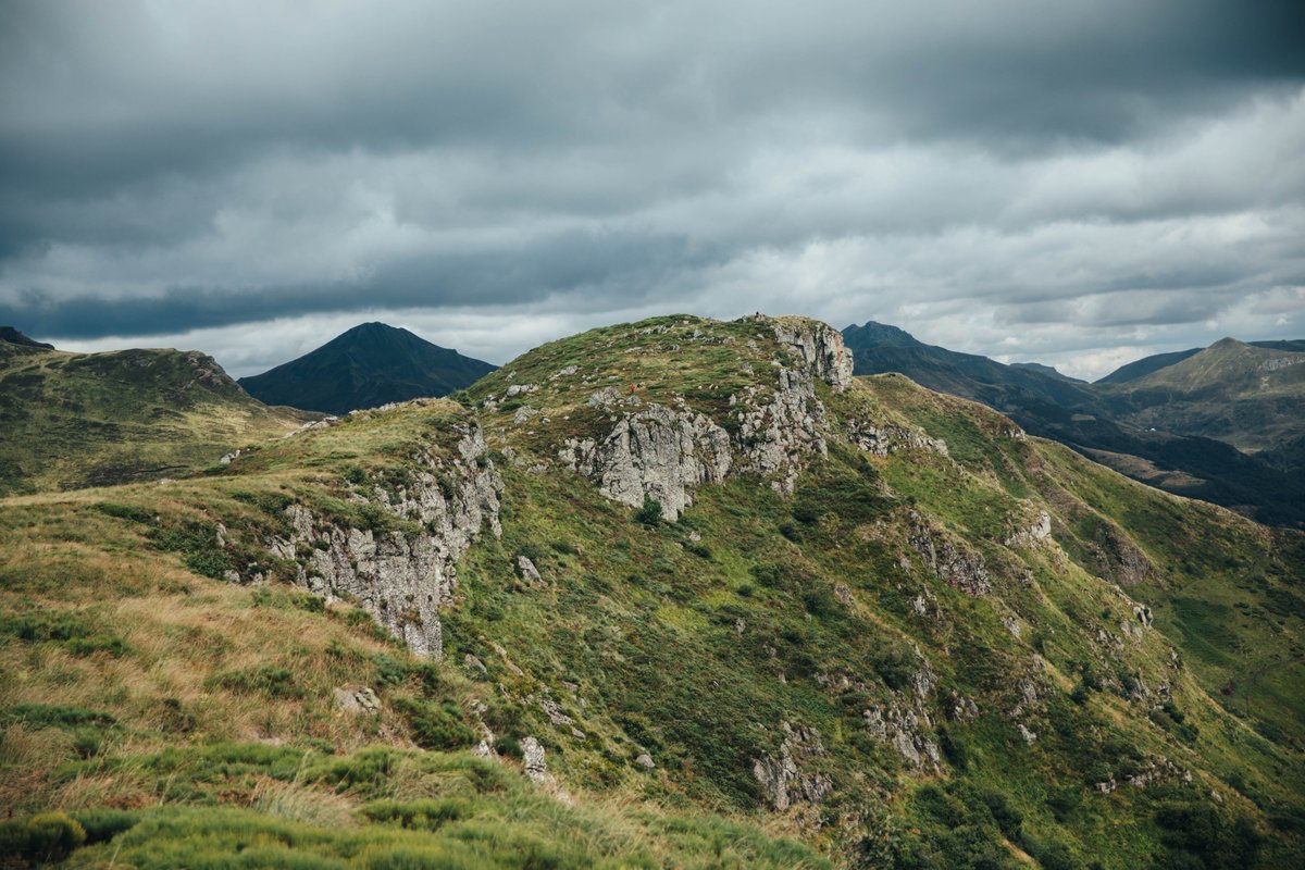 hellolaroux tweet media