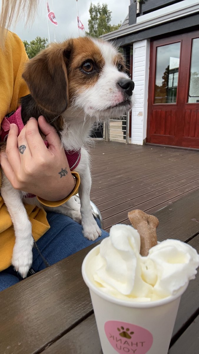 ashleyelder90's tweet photo. Just a wee dog enjoying a puppuccino 🫶
#weedog #puppylove https://t.co/FXS5Cb1i5j