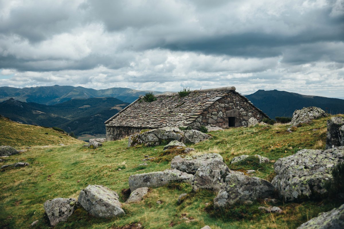 hellolaroux tweet media