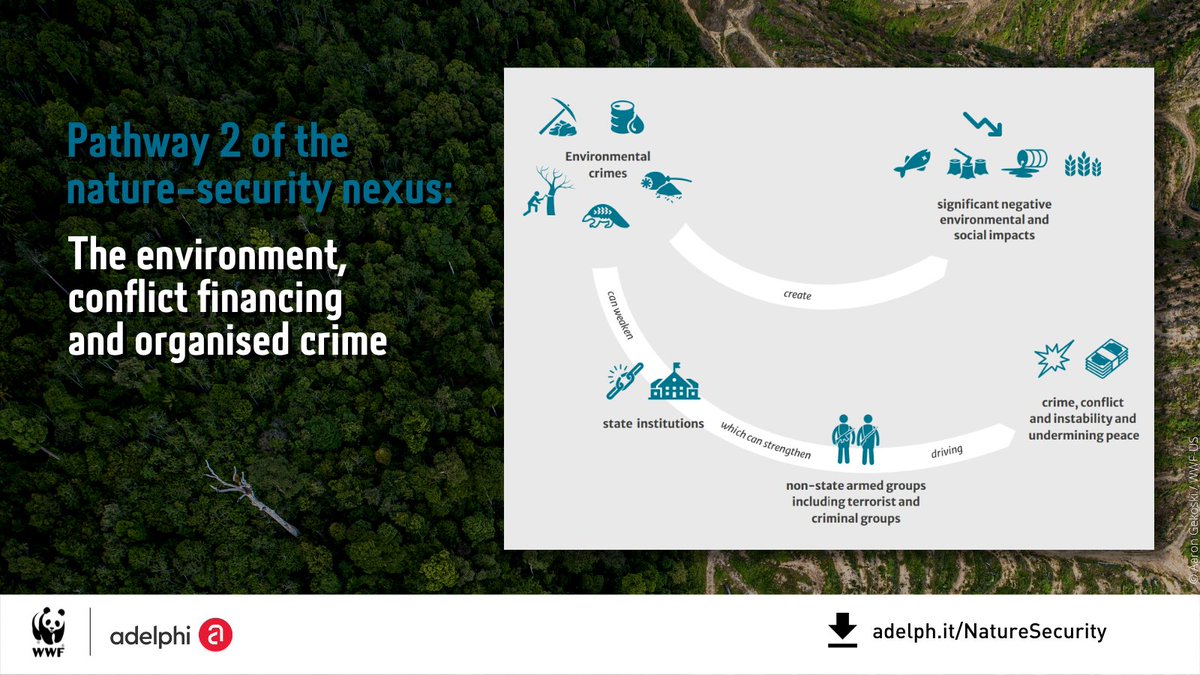 ClimateDiplo's tweet photo. #EnvironmentalCrime is highly profitable, generating $110–281 billion/year and supplying 38% of financing for illegal armed groups. It's part of the #NatureSecurity nexus—the vicious cycle of environmental degradation, biodiversity loss & insecurity.
MORE: https://t.co/UfK0nYe6eG https://t.co/nw58HE8srZ