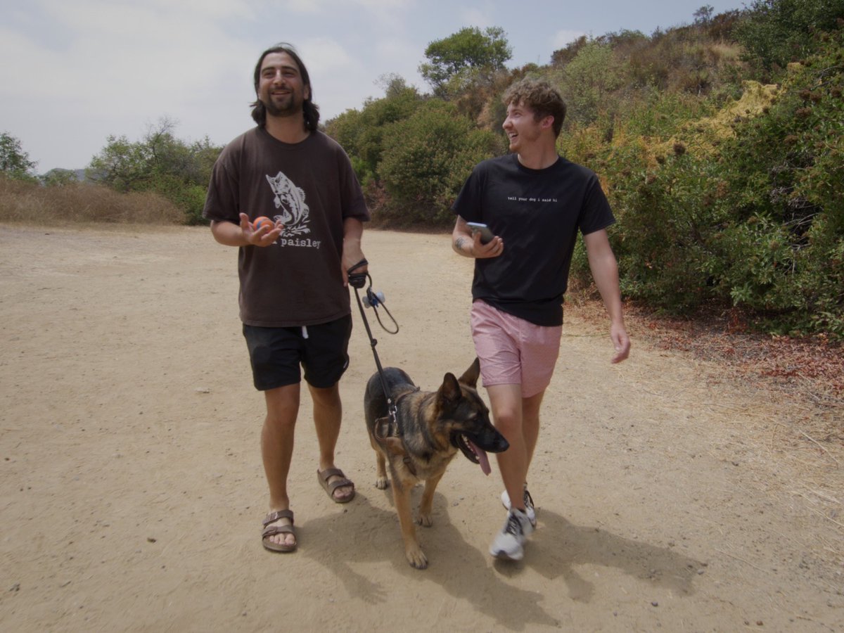 WeRateDogs tweet media