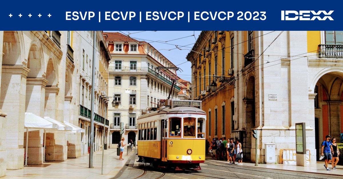 ☀️ Will you be at the ESVP | ECVP | ESVCP | ECVCP Joint Congress this week? We will be, and we’d love to see you! Stop by booth 2 to talk to our team about #veterinarypathology jobs at IDEXX, play a raffle, and even get a new headshot you could use on your profile. 😎