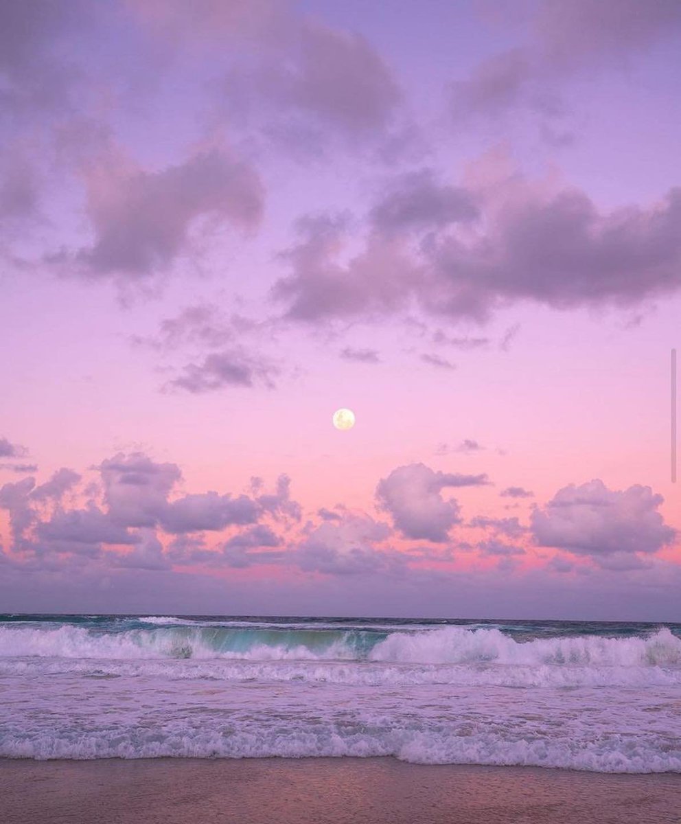 artindetails's tweet image. pink sunset
