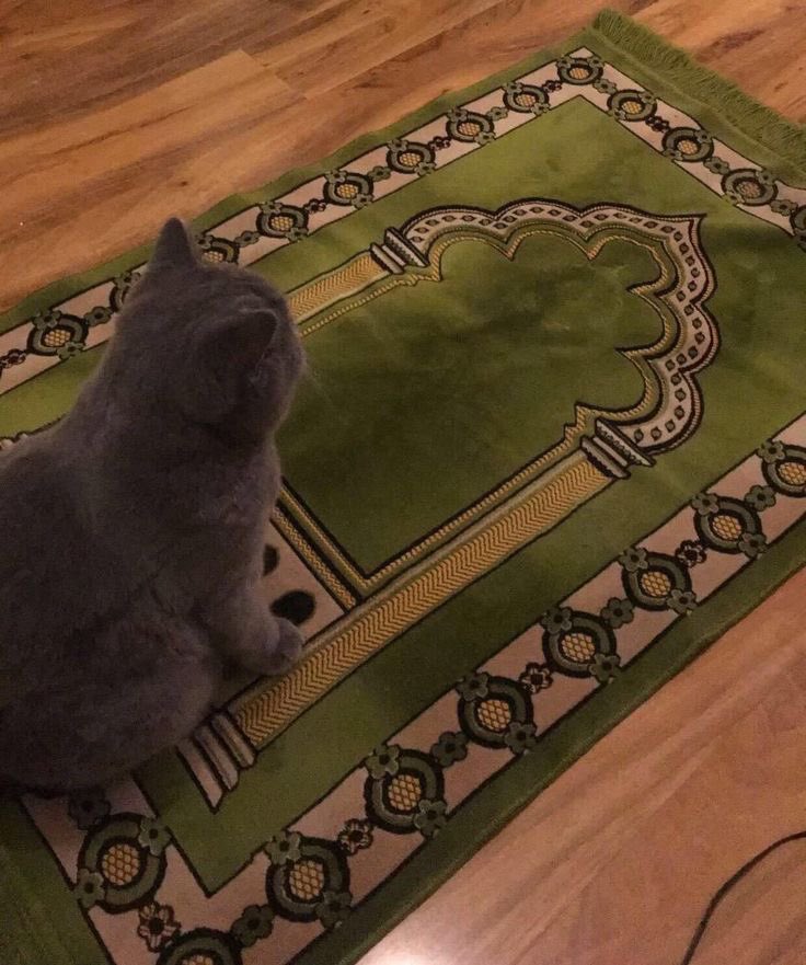 bajiislam's tweet photo. « Et rien n'échappe à Allah, ni sur terre, ni au ciel !»

   -Sourate 14 Verset 38 https://t.co/cvOCmok9dY