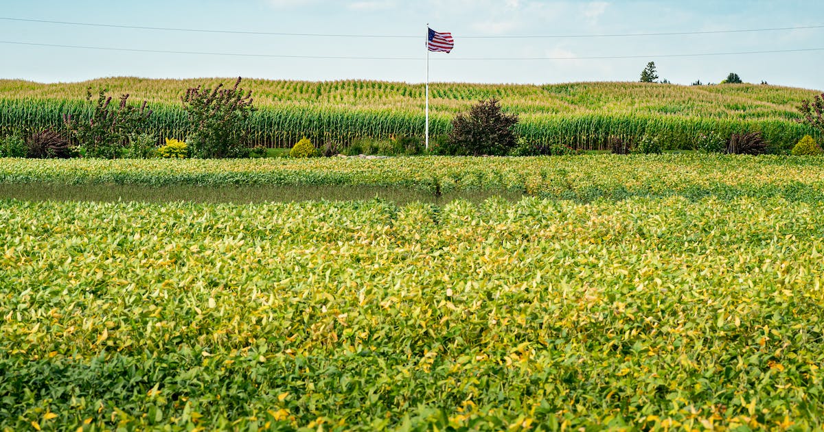 56% of US farms have at least one female decisionmaker; In Minnesota women are the primary operators on 1/3rd of farms; US women have surpassed men in ag and natural science degrees. Thank you Carl Casale. buff.ly/3YSLGfS