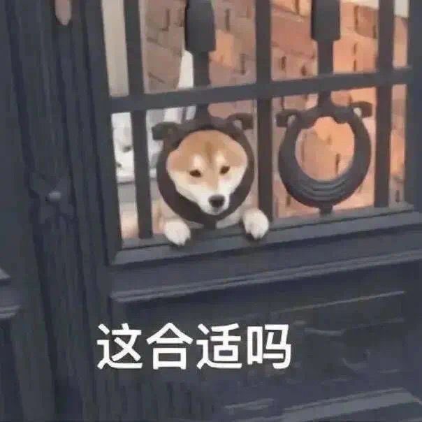 求问各位宝子🧐视频明明很清晰，一发推特就被压缩糊的一批，怎样去避免？