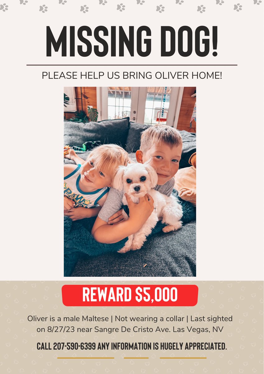 AshleyAdlerCoro's tweet photo. Our beautiful fur baby Oliver is missing and we will do anything to get him back. #lasvegaslostdogs #lasvegas https://t.co/IjPN91qSXt