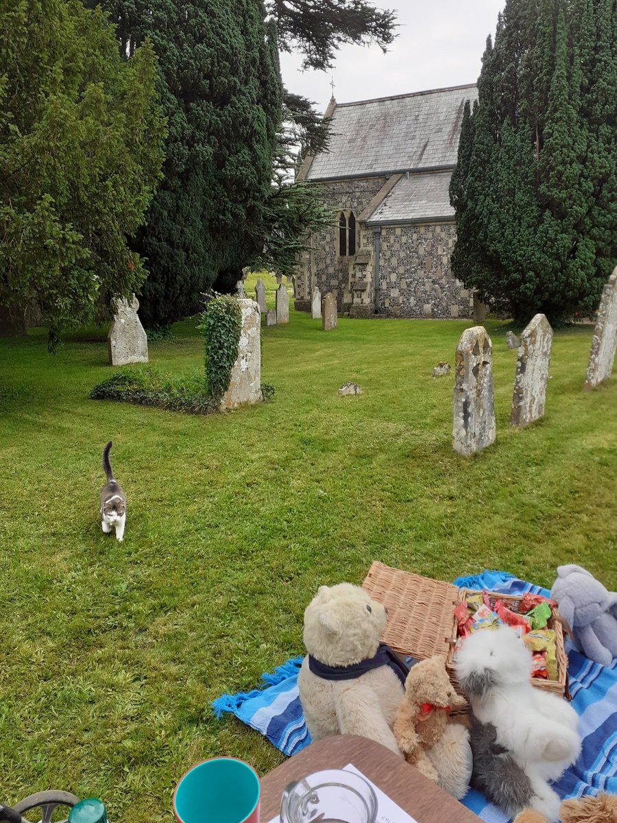 sinbadthebear's tweet photo. I had a lovely morning hosting the annual Teddy Bears Picnic at church. Some cats arrived part way through. Lots of other bears and cuddlies joined me. It was very special. https://t.co/8q6BL0wdg5