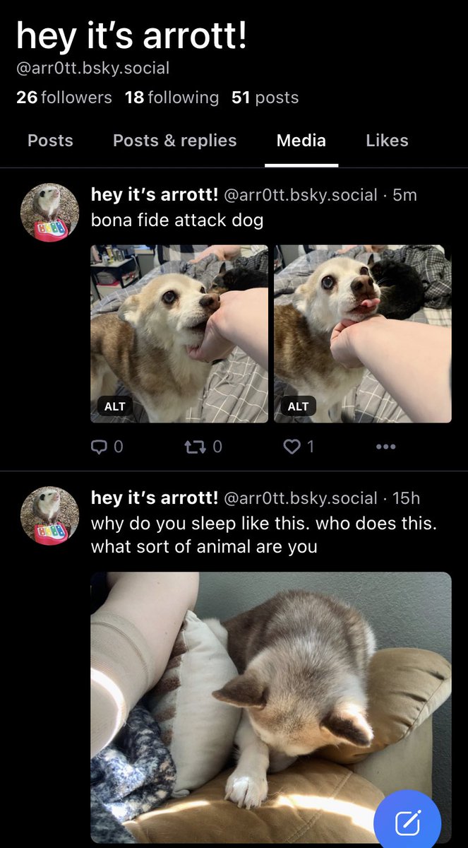 ARR0TT's tweet photo. come see the weird little beast https://t.co/b4653232YE