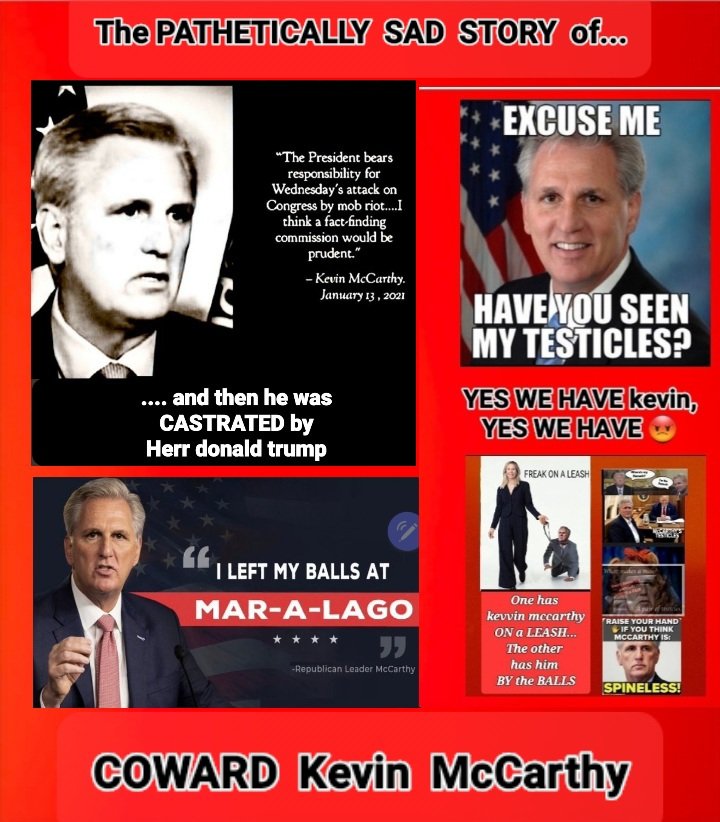 #KevinMcCarthy is
#DonaldTrump 's EUNUCH
AND
#MarjorieNaziGreene 's BITCH...