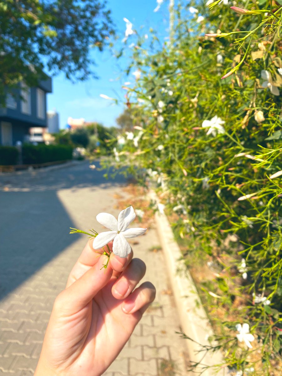 Saklasam kendimi bir odaya Dünyadan, en çok da senden uzak Gözünü durmadan alan tüm tenlerden Seçer misin beni yine içlerinden? 🌊🌴🐚🍾 #BirsenTezer 🎶