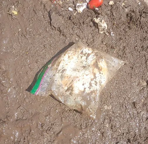adkwormfarm's tweet photo. Keep your food fresh in a baggie (or reusable container) but when it's time to send it to #compost please remove the bag first! Thank you, from your friendly neighborhood #communitycomposter
#curbsidecomposting #contaminant #plastic #lesswaste https://t.co/xClVK2UkaX