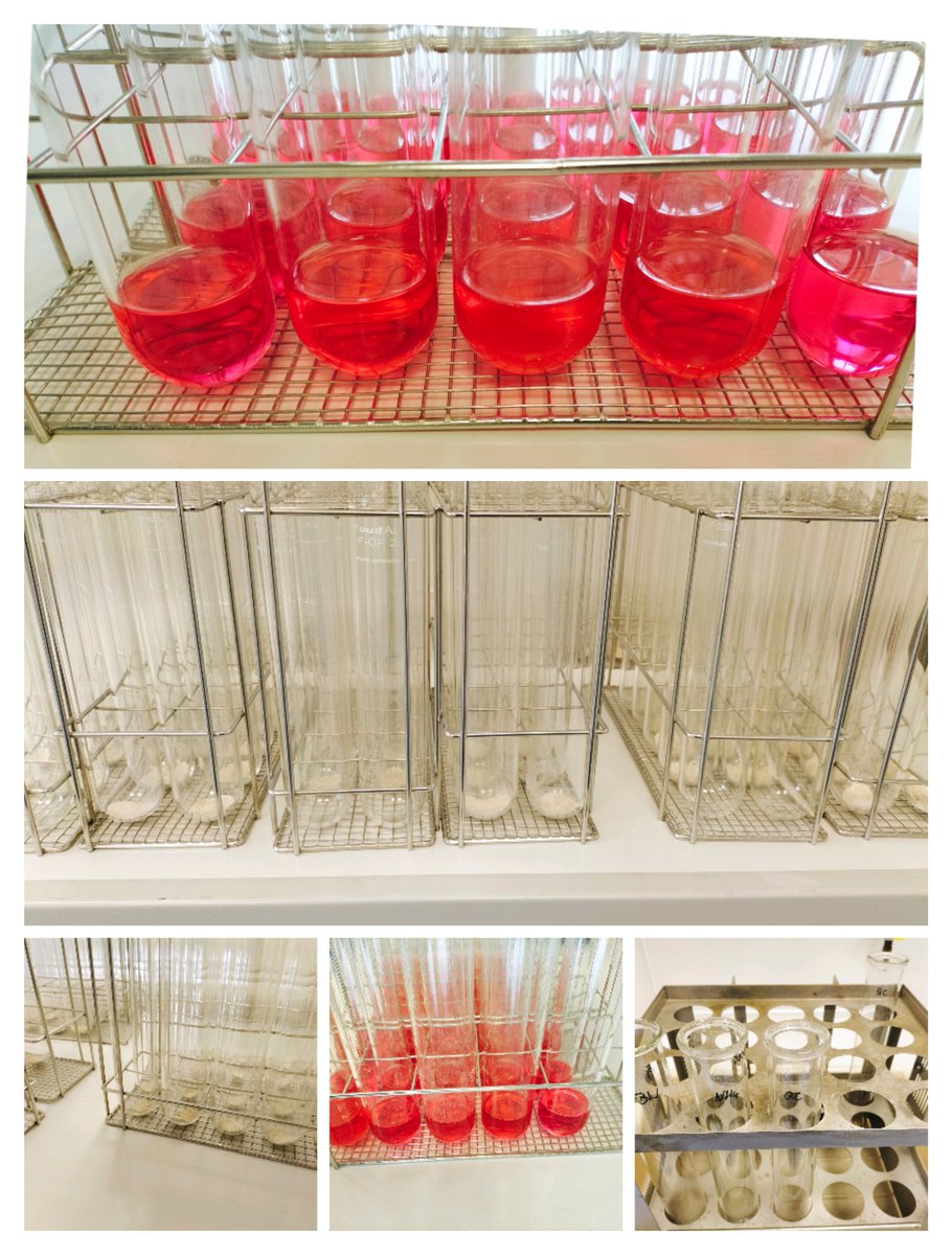 anne_zaar's tweet photo. Well, if the working group leader has to work in the laboratory herself. Back to classical protein analysis.
Sa https://t.co/xsTRwWLbCx