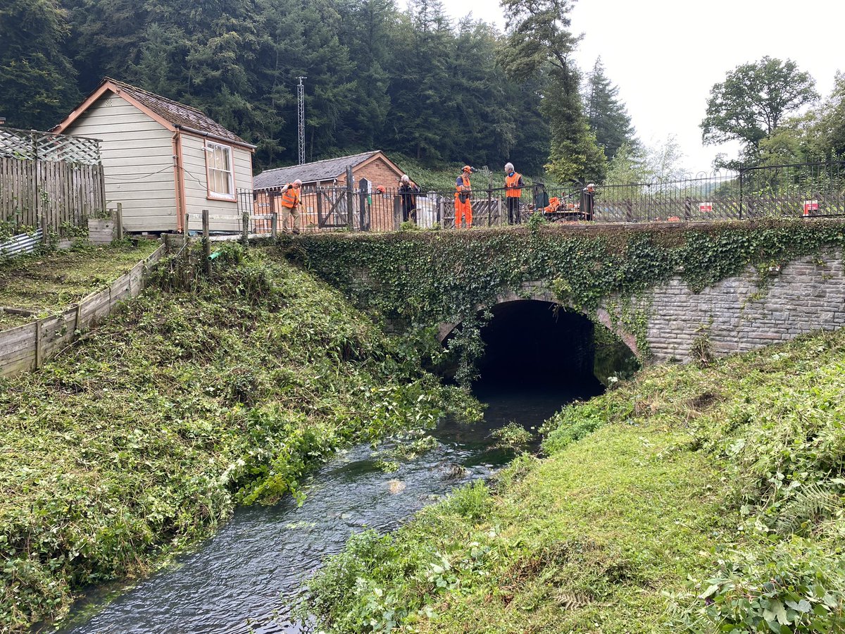 Out with the lineside team clearing riverside at a Norchard then later mounting new sign. #deanforestrailway