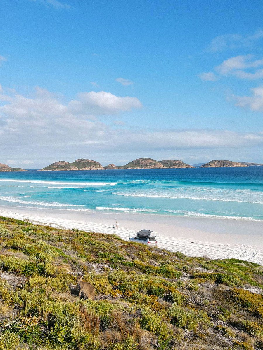 The world's No.1 best beach 🏖️LuckyBay! and incredible turquoise waters 🌊. Recognised as "Australia's white sandy beach", LuckyBay is located in the southern port city of Esperance in Western Australia, in Cape Le Grand National Park.
#travelling #surfing