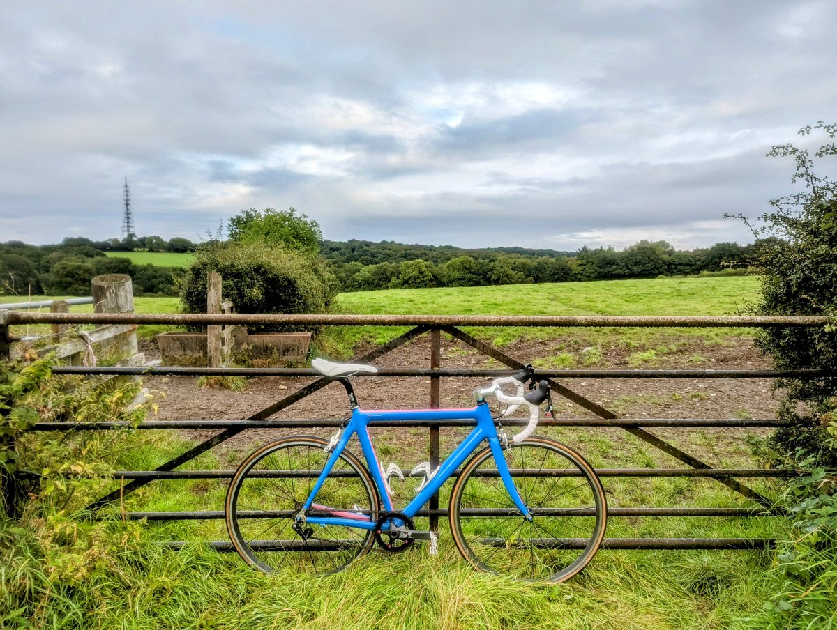 The grass does look greener....😅 @uhltherapy #AHPsActive